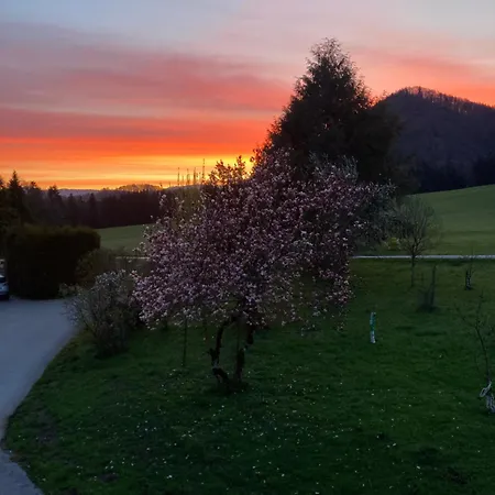 Obereggut Apartament