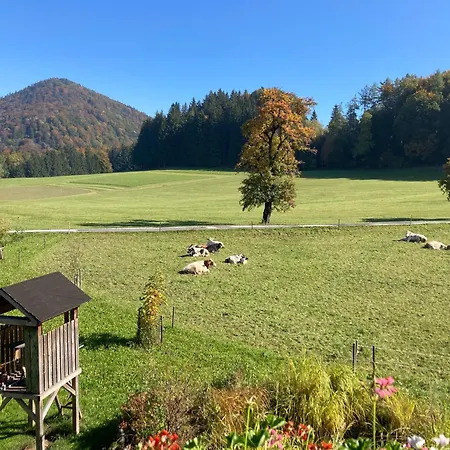 Obereggut Apartment *