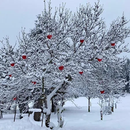 Obereggut アパート ホーフ・バイ・ザルツブルク