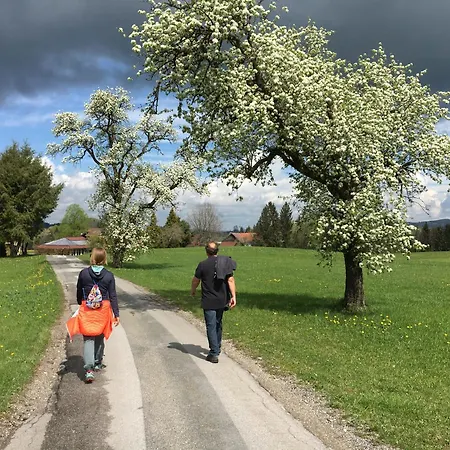 アパート Obereggut