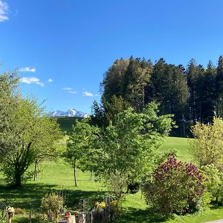 Obereggut Appartement Hof bei Salzburg