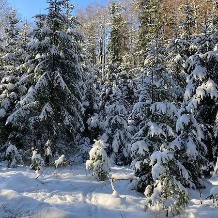 Obereggut * ホーフ・バイ・ザルツブルク