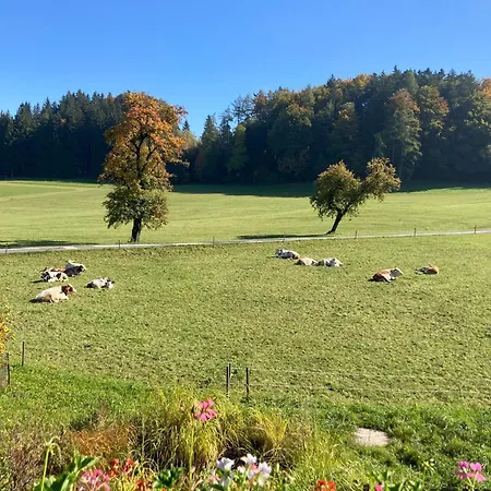 Obereggut * Hof bei Salzburg
