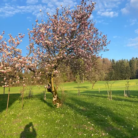 Obereggut Hof bei Salzburg