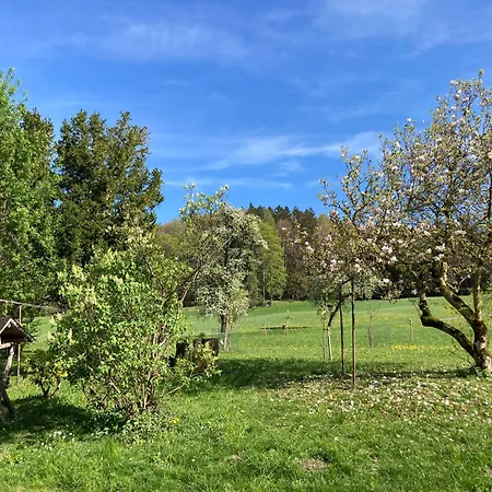 Apartament Obereggut