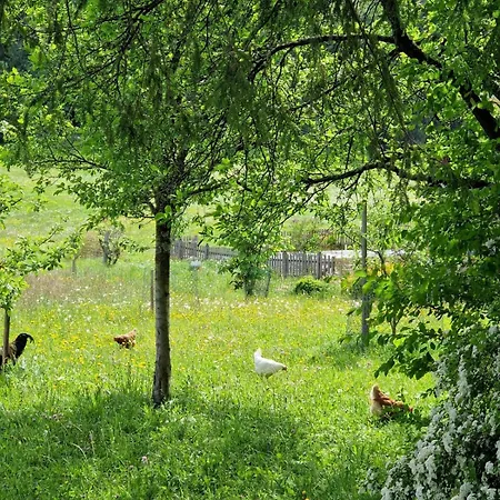 Obereggut Apartament Hof bei Salzburg