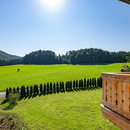 Apartament Obereggut *