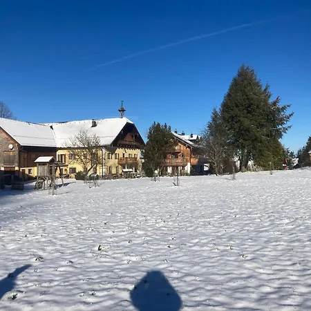 Obereggut Apartmán *