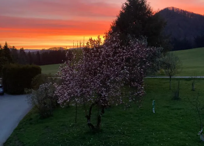 Obereggut アパート