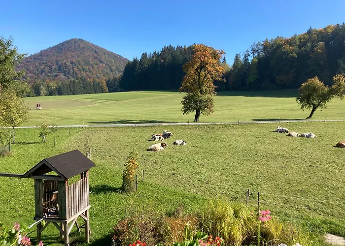 Obereggut アパート *