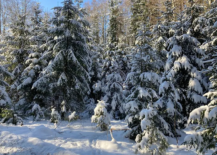 Obereggut * ホーフ・バイ・ザルツブルク