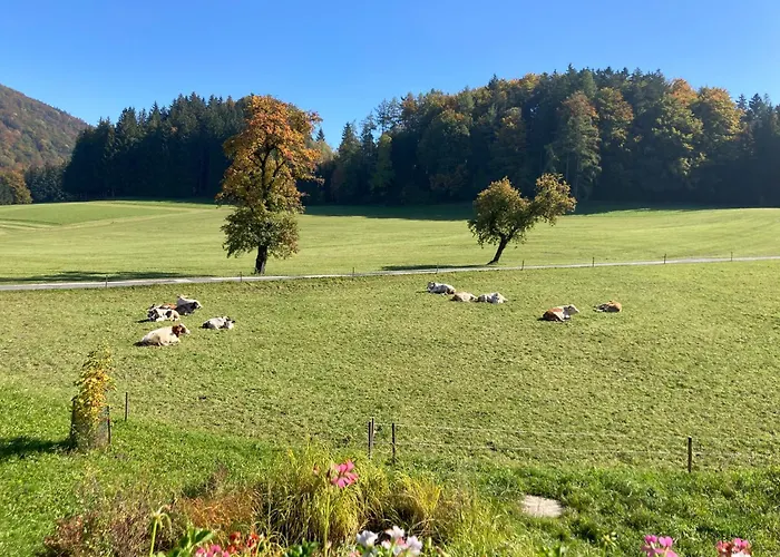 Obereggut * ホーフ・バイ・ザルツブルク