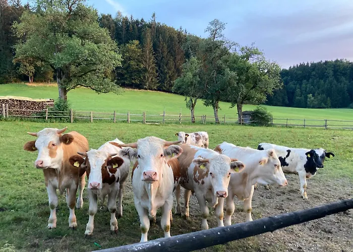 アパート Obereggut *