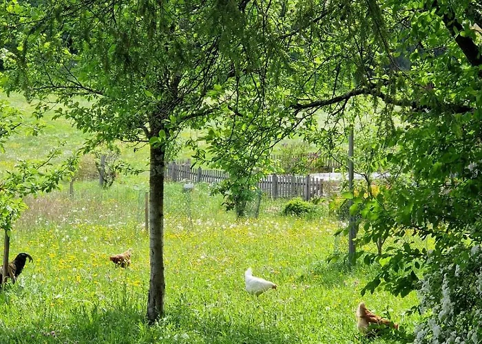 Obereggut アパート ホーフ・バイ・ザルツブルク